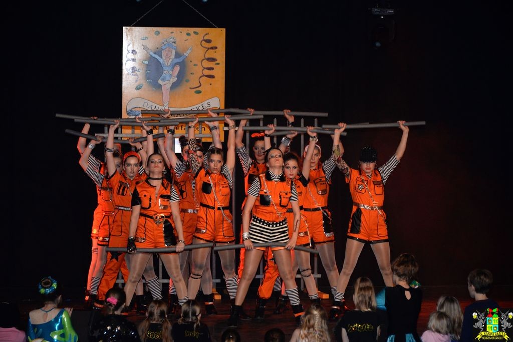 ../Images/Dansmarieke festival 2018 474.jpg